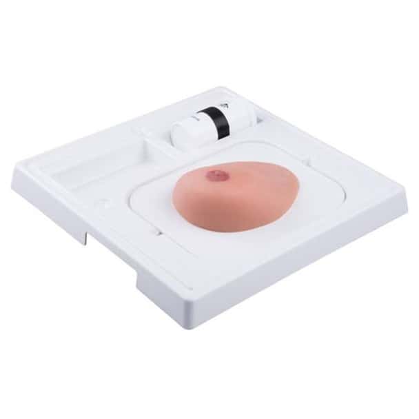 SONOtrain Breast Model with Systs