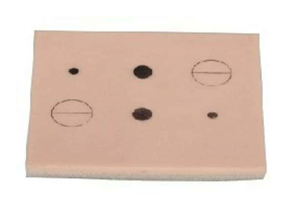 Anatomy Lab Local Anesthesia Skin Pad
