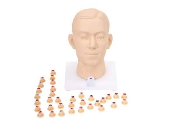 Anatomy Lab Intra-aural Examination Trainer Binaural