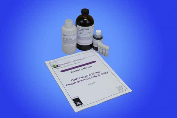 DNA Fingerprinting Electro- Phoresis Lab Activity