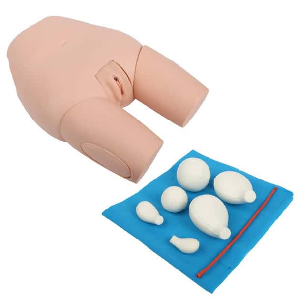 Anatomy Lab Advanced Fundus Assessment Skills Trainer