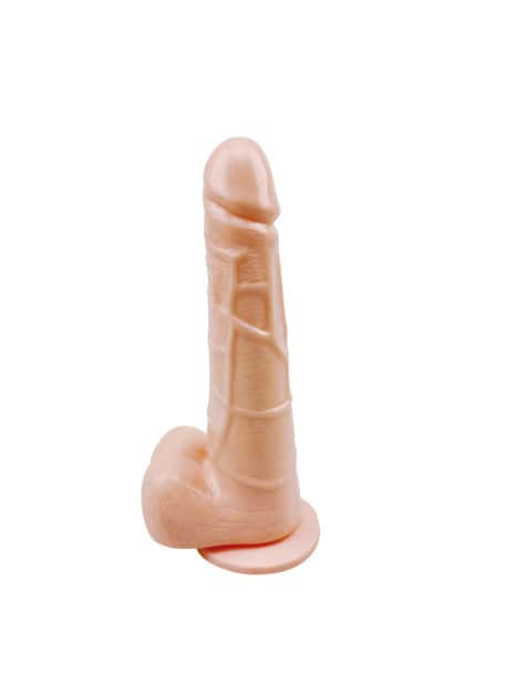 Anatomy Lab Male Condom Model