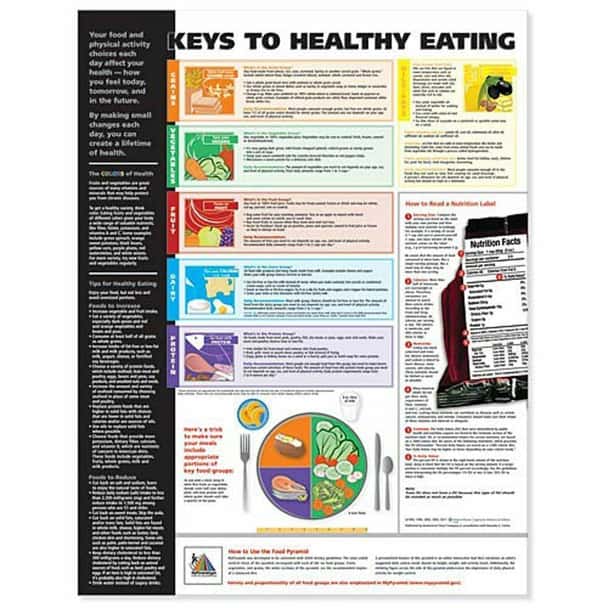 Keys to Healthy Eating Laminated Anatomical Chart - 3rd Edition
