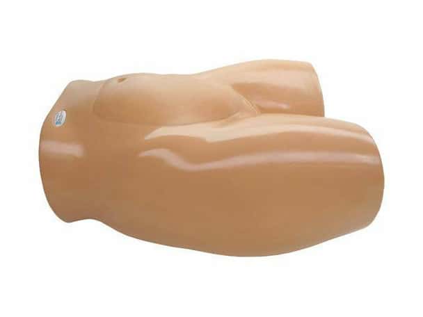 Percutaneous Umbilical Cord Blood Sampling Ultrasound Training Model