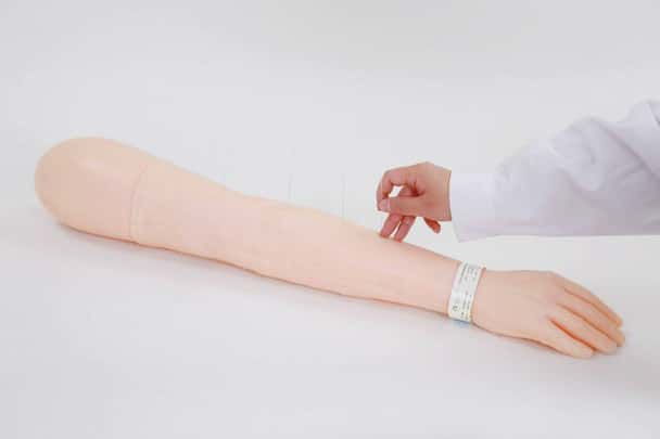 Anatomy Lab Acupuncture Training Arm