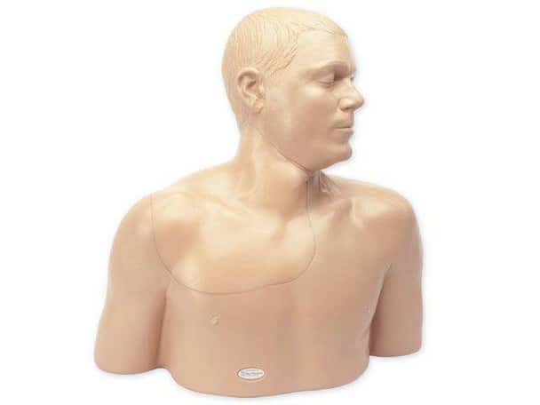 Regional Anesthesia and Ultrasound Central Line Training Model