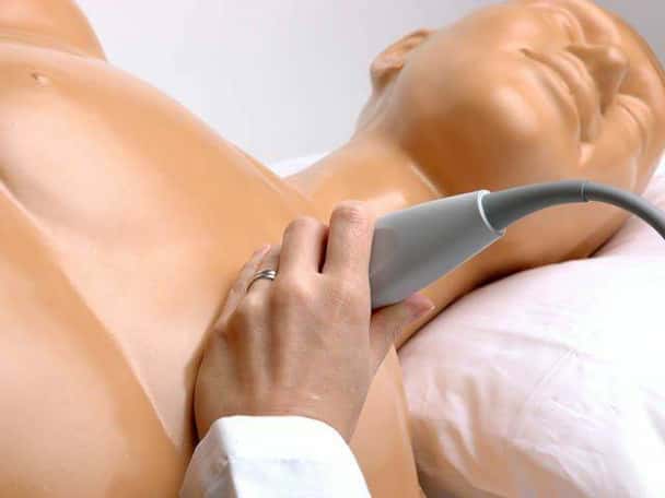 Transthoracic Echocardiography and Pericardiocentesis Ultrasound Training Model