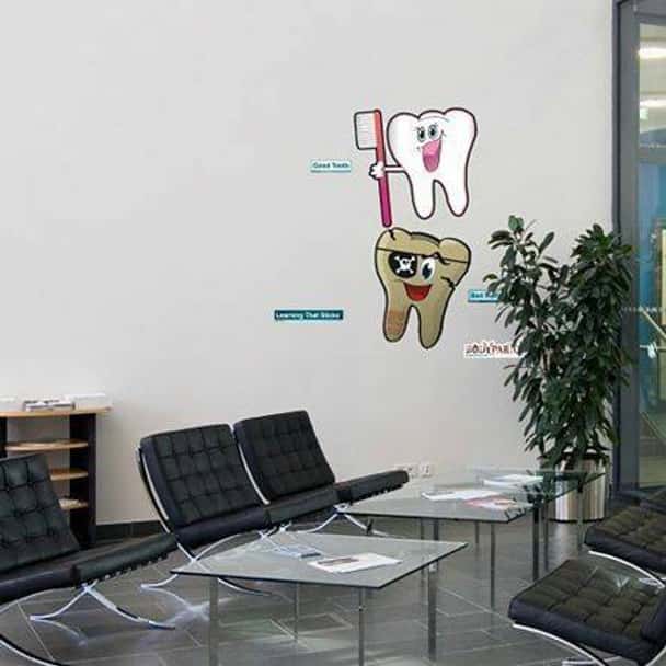 Good Tooth, Bad Tooth Anatomy Dry-Erase Sticky Wall Chart - 27 in x 40 in