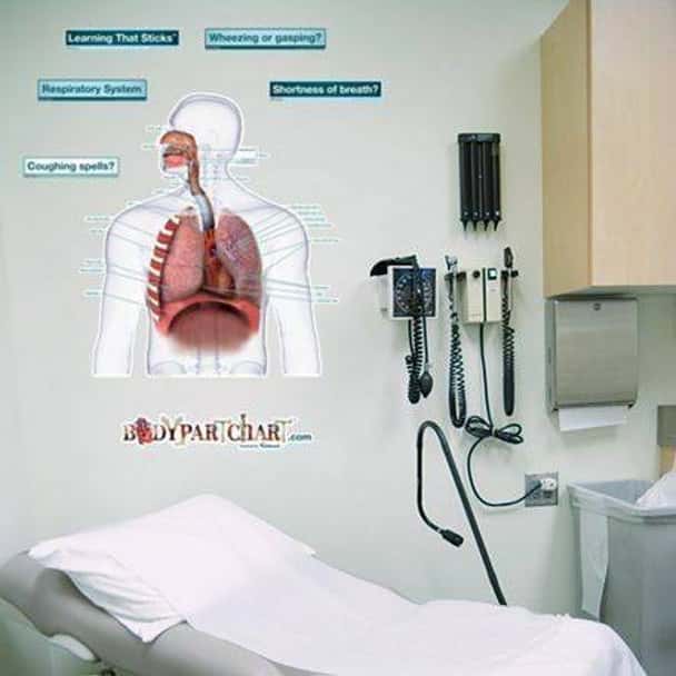 Respiratory System Anatomy Dry-Erase Sticky Wall Chart - Labeled