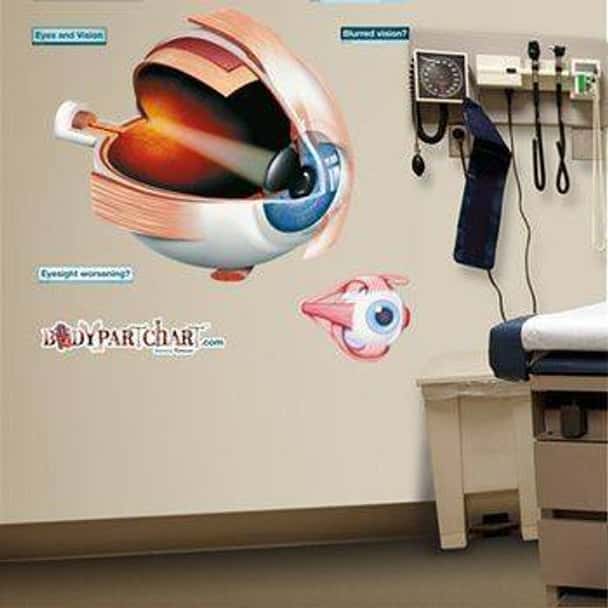 Eye Anatomy Dry-Erase Sticky Wall Chart - 54 in x 40 in