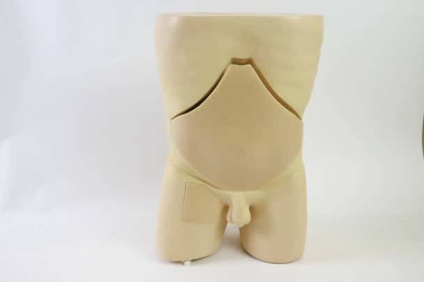 Anatomy Lab Femoral Arteriovenous Puncture and Abdominocentesis Ultrasound Training Model
