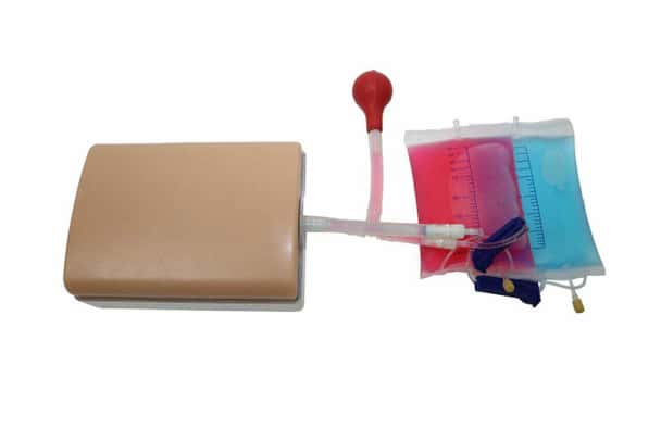 Anatomy Lab Vascular Access Ultrasound Training Model