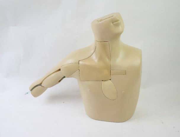 Anatomy Lab PICC Ultrasound Training Model