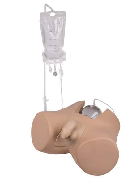Henri Male Bladder Catheterization Simulator