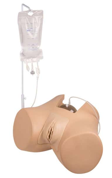 Florence Female Bladder Catheterization Simualtor
