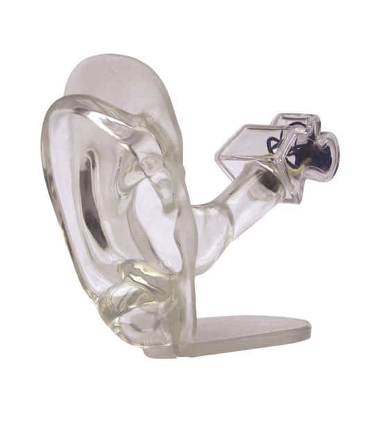 Clear Ear Anatomy Model