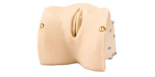 KOKEN Vaginal Exam Model Vulva II