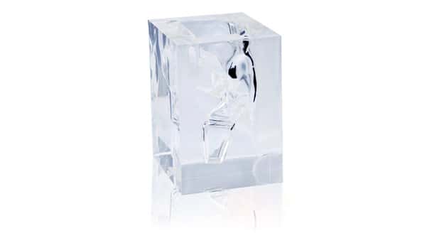 KOKEN Transparent Laryngopharynx Model