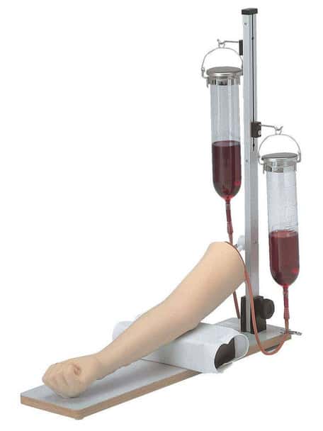 KOKEN Injection and Blood Sampling Practice Model Type 1