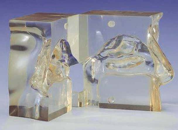 KOKEN Transparent Nasal Cavity Model