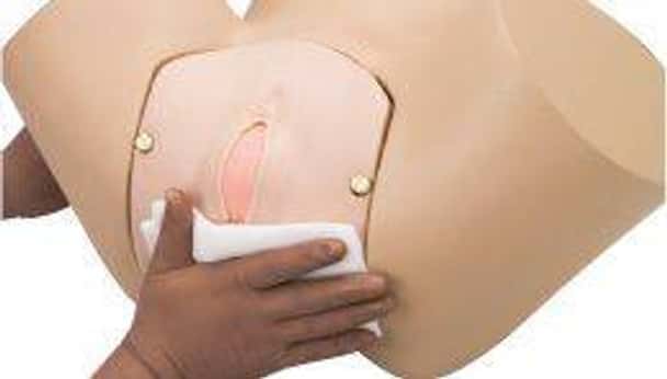KOKEN Obstetric Model Vulva II Primipara Type