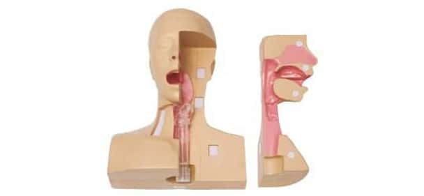 KOKEN Tracheostomy Management Simulator