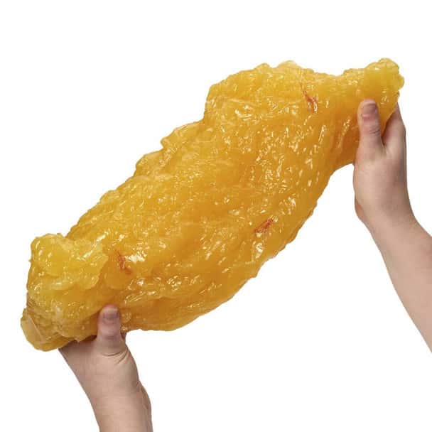 Life/form 5-lb Body Fat Replica