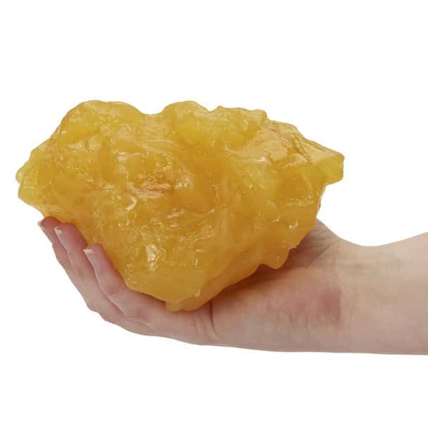 Nasco Body Fat Replica - 1-lb