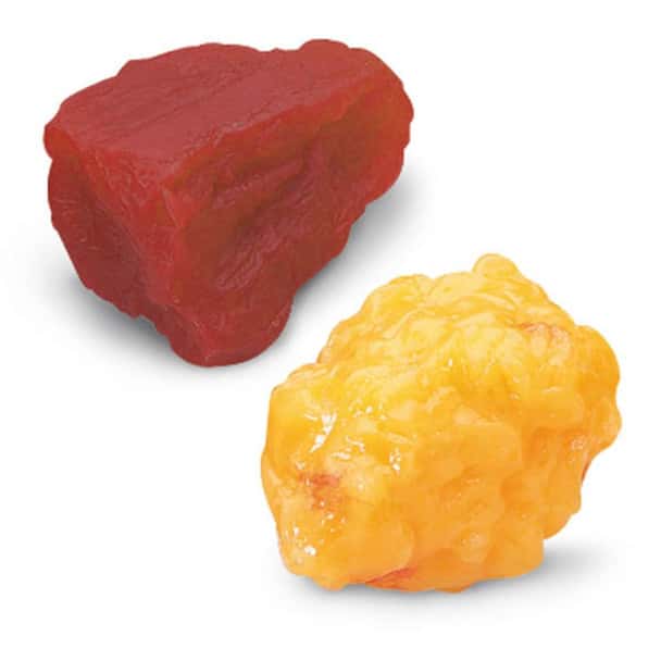 Nasco 1-lb Fat and 1-lb Muscle Replicas