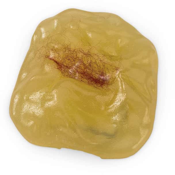 Nasco 1-oz Fat with Magnet