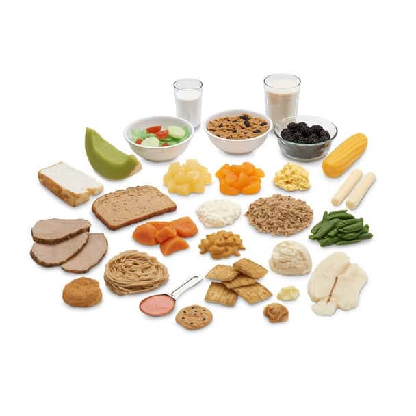 Nasco Common Meals Food Replica Kit