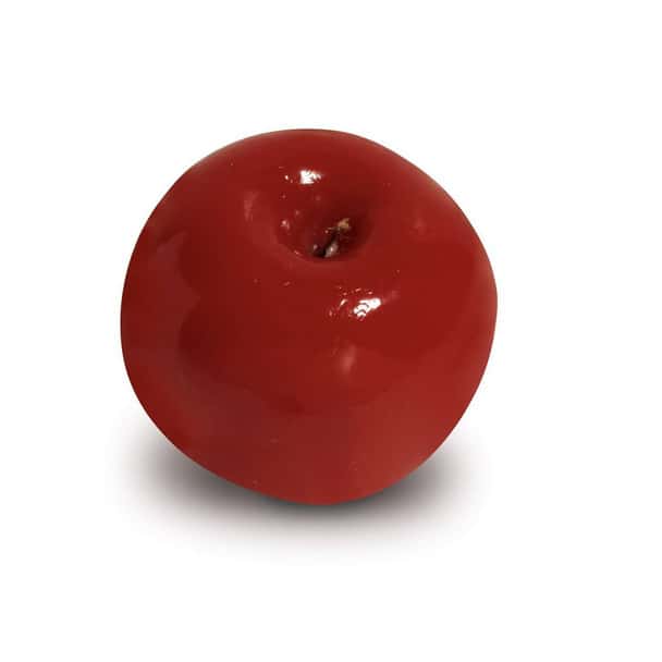 Nasco Apple Food Replica - Whole - Medium