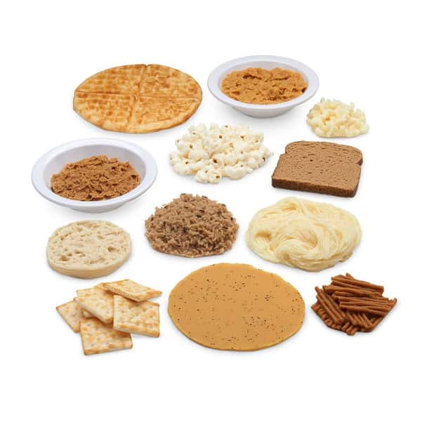 Nasco Big Grains Food Replica Kit