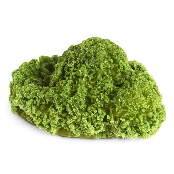 Nasco Broccoli Food Replica - 1/4 cup 60 ml