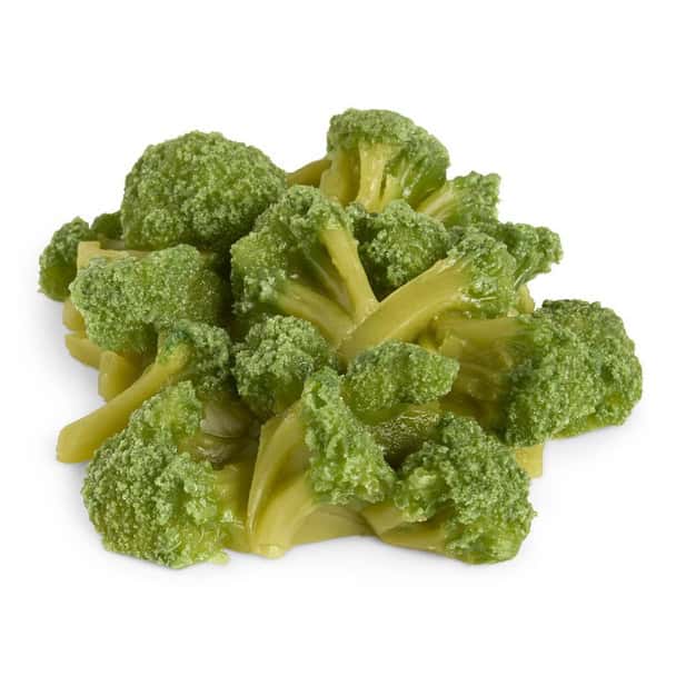 Nasco Broccoli Food Replica - 1 cup 240 ml