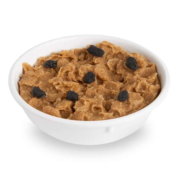 Nasco Raisin Bran Food Replica - 1 cup