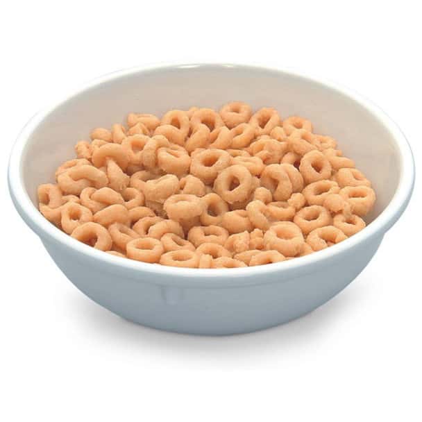 Nasco Toasted Oats Food Replica - 3/4 cup