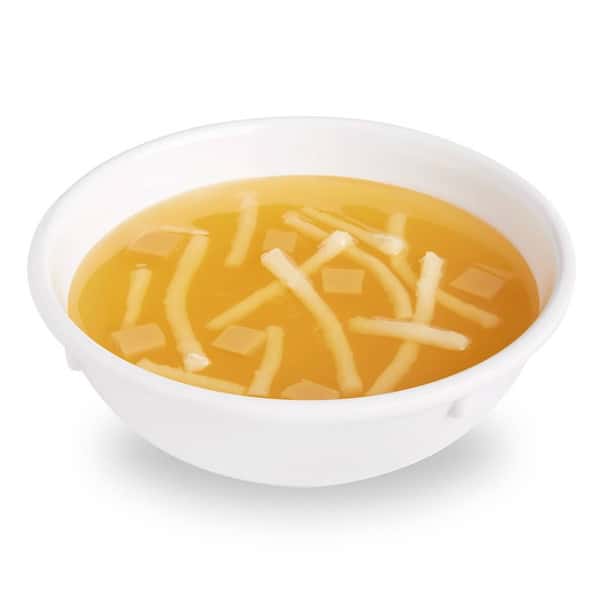 Nasco Chicken Noodle Soup Food Replica - 1 cup