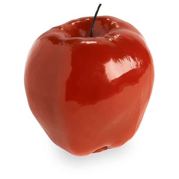 Nasco Apple Food Replica - Whole - 6 oz