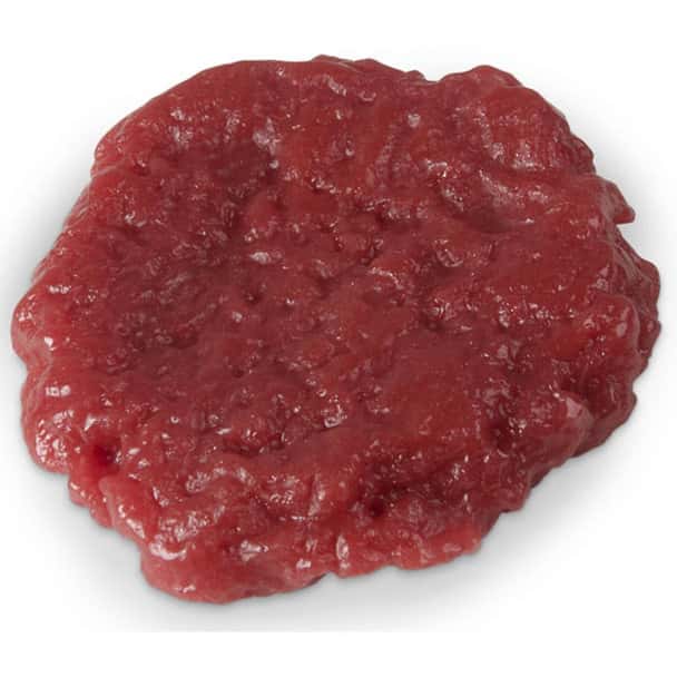 Nasco Ground Round Food Replica - Raw - 3 oz