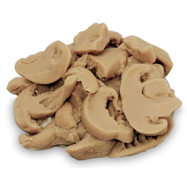 Nasco Mushrooms Food Replica - 1/4 cup