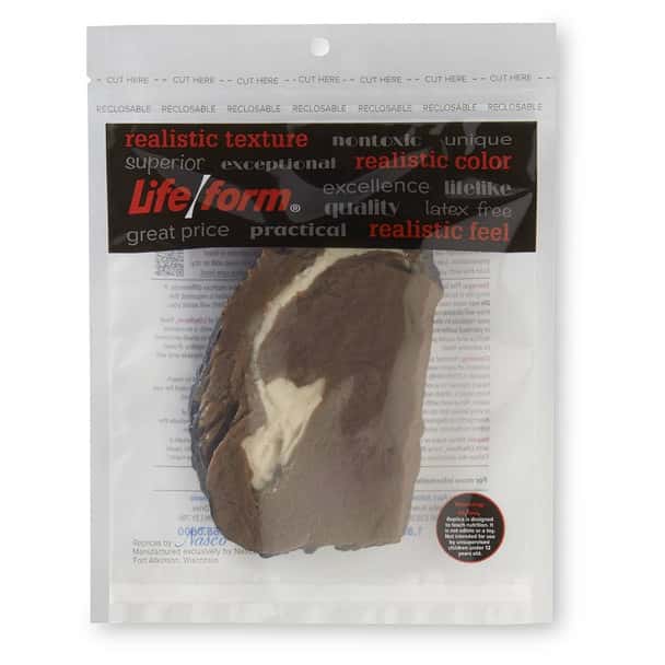 Nasco Steak Food Replica - Prime Rib - 8 oz