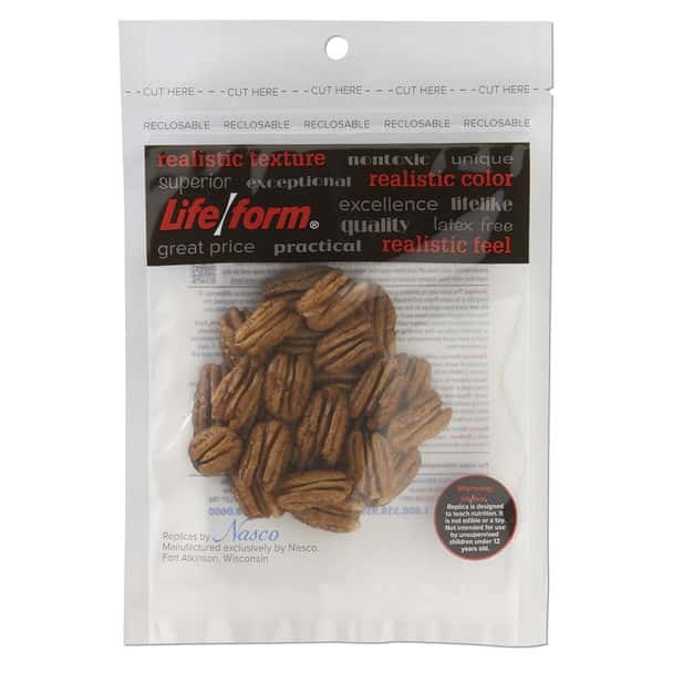 Nasco Pecans Food Replica - 1/4 cup