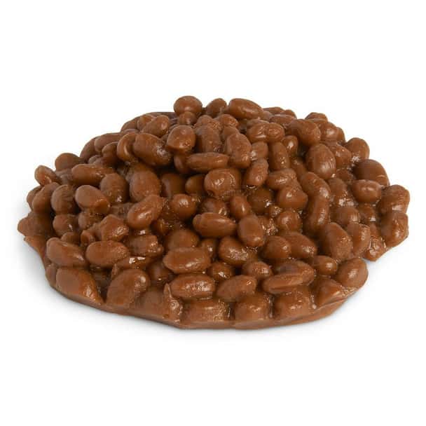 Nasco Beans Food Replica - Baked - 2/3 cup 160 ml