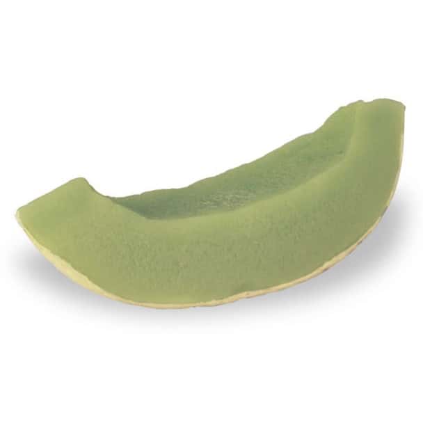 Nasco Honeydew Food Replica - 10.5 oz