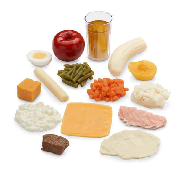 Nasco Limited-Intake Food Replica Kit