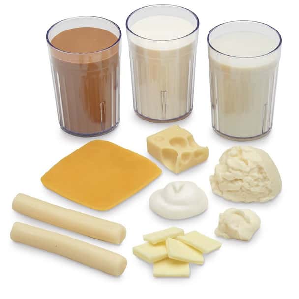 Nasco Big Milk Food Replica Kit