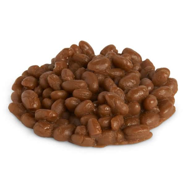 Nasco Beans Food Replica - Baked - 1/3 cup 80 ml