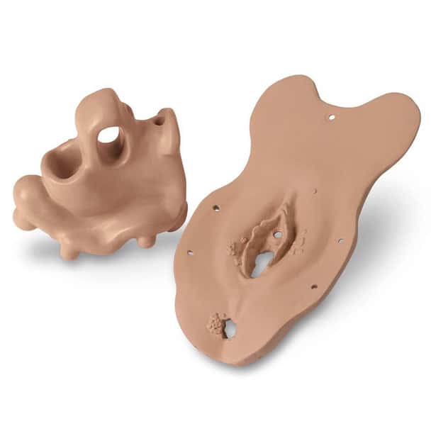 Life/form Sexually Transmitted Diseases STD Module