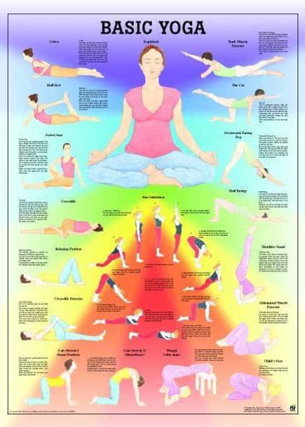 Yoga Basic Laminated Fitness Poster